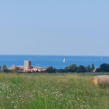 Apartments Henc Novigrad Istria 외부 사진
