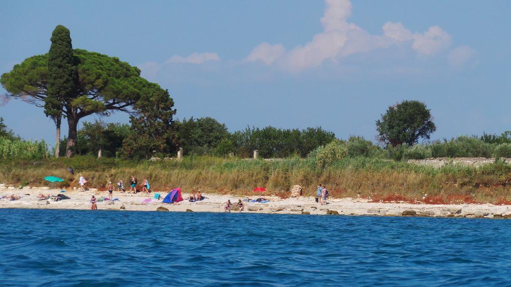 Apartments Henc Novigrad Istria 객실 사진