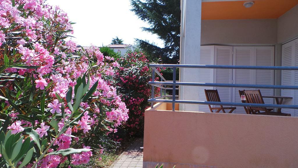 Apartments Henc Novigrad Istria 객실 사진