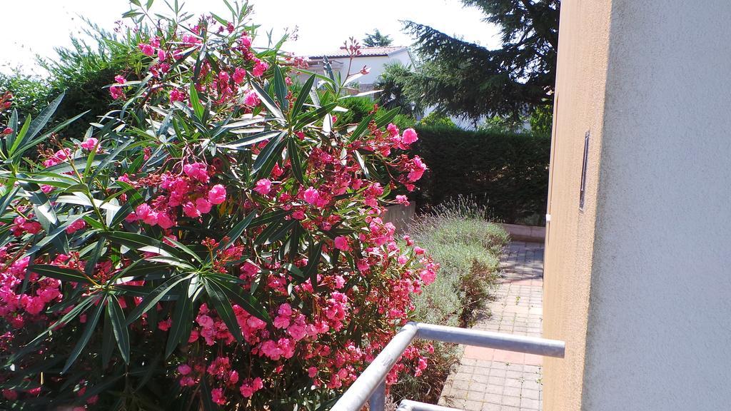 Apartments Henc Novigrad Istria 외부 사진