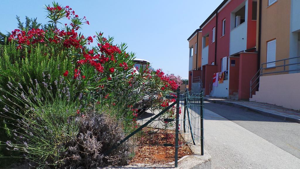 Apartments Henc Novigrad Istria 외부 사진