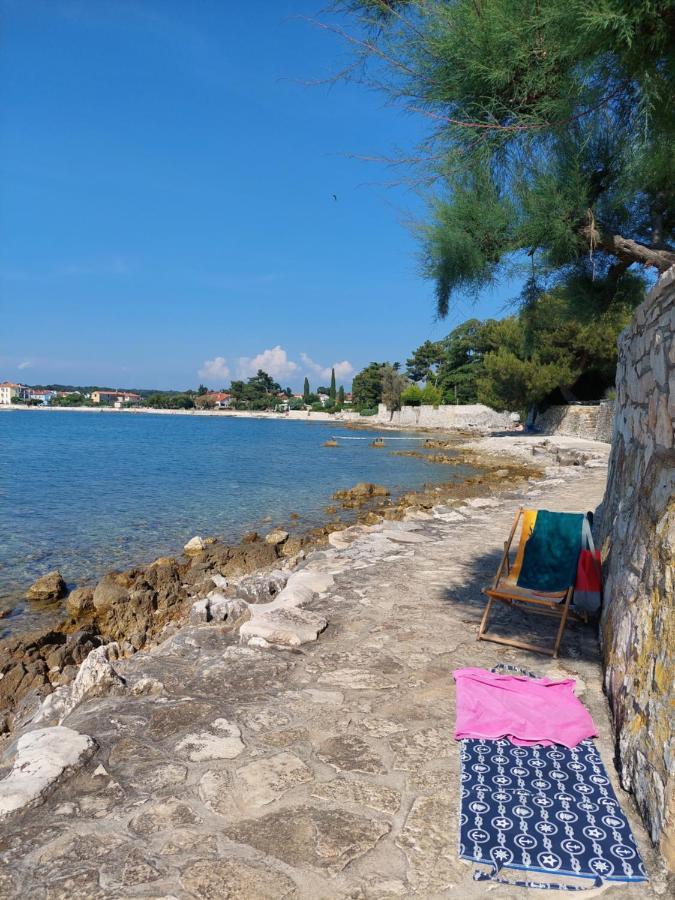 Apartments Henc Novigrad Istria 외부 사진