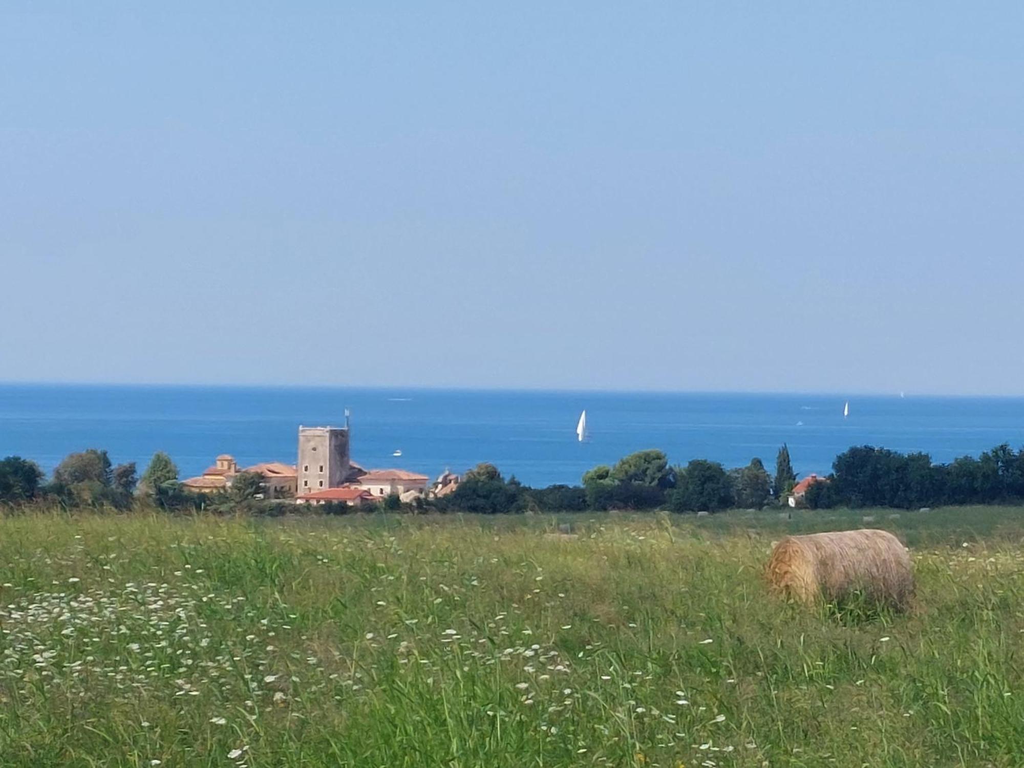 Apartments Henc Novigrad Istria 외부 사진