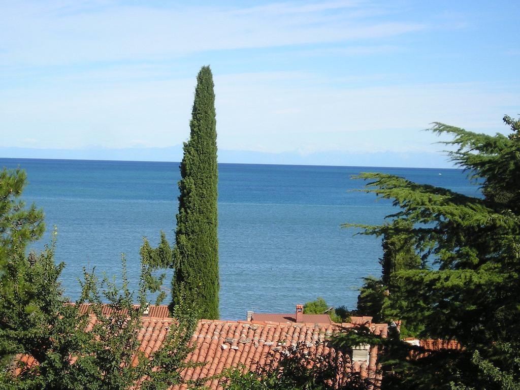 Apartments Henc Novigrad Istria 객실 사진